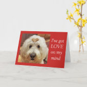 Goldendoodle Valentijnsdag kaart (Gele Bloem)