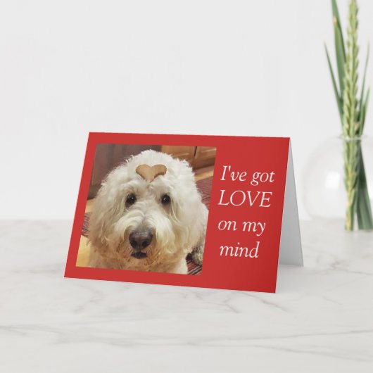 Goldendoodle Valentijnsdag kaart (Voorkant)