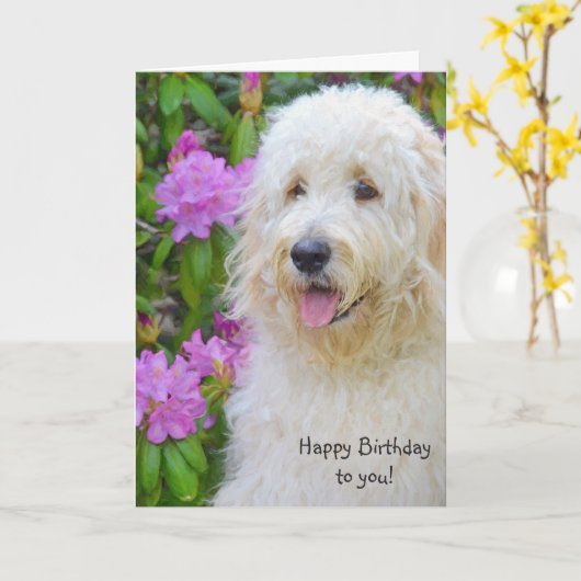 Goldendoodle Verjaardag Kaart (Gele Bloem)