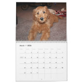 Goldendoodles Kalender (Mar 2026)