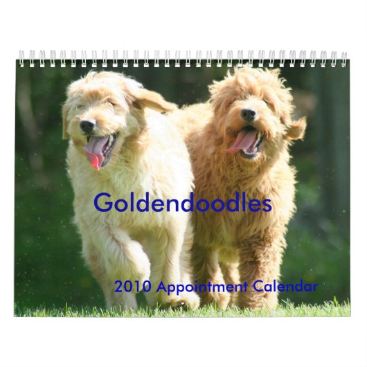 Goldendoodles Kalender (Hoes)