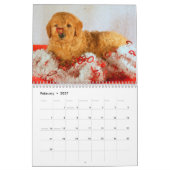 Goldendoodles Kalender (Feb 2027)