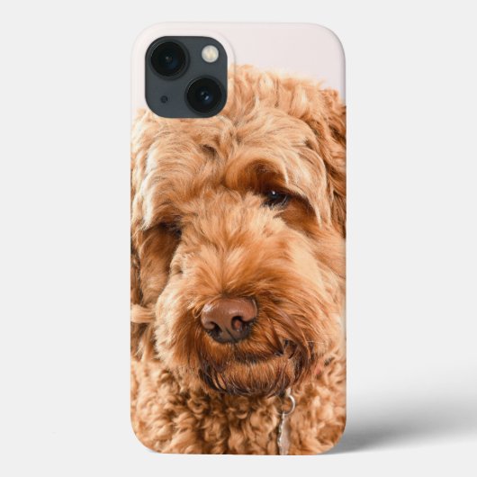 GoldendoodStudio Portret Case-Mate iPhone Case (Achterkant)