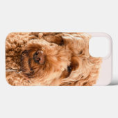 GoldendoodStudio Portret Case-Mate iPhone Case (Achterkant (horizontaal))