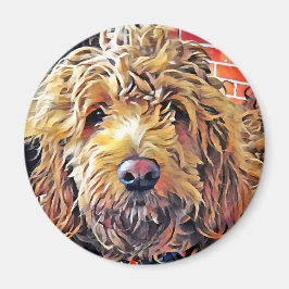 Goldendoolde Puppy Magneet