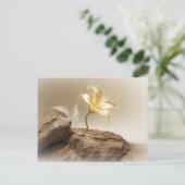 Goldene Blume auf einem Stein Briefkaart (Staand voorkant)