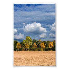 Goldener Herbst Foto Afdruk