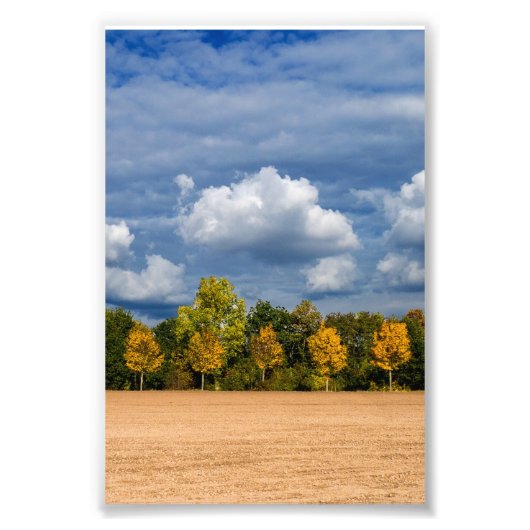 Goldener Herbst Foto Afdruk (Voorkant)