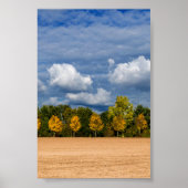 Goldener Herbst Poster (Voorkant)