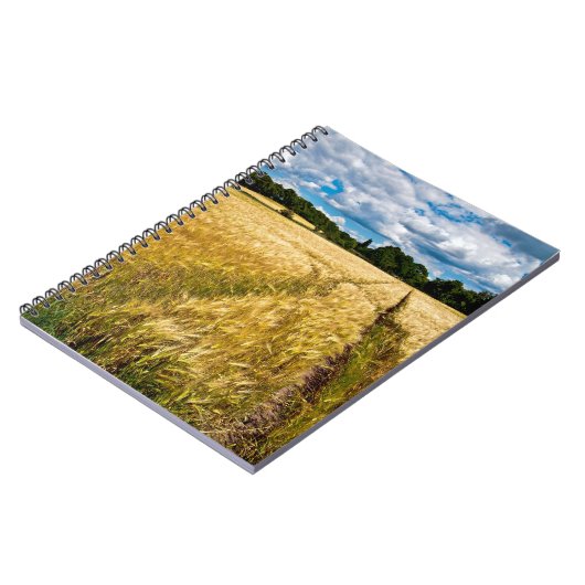 Goldenes Weizenfeld im Herbstlicht Notitieboek (Linkerzijde)