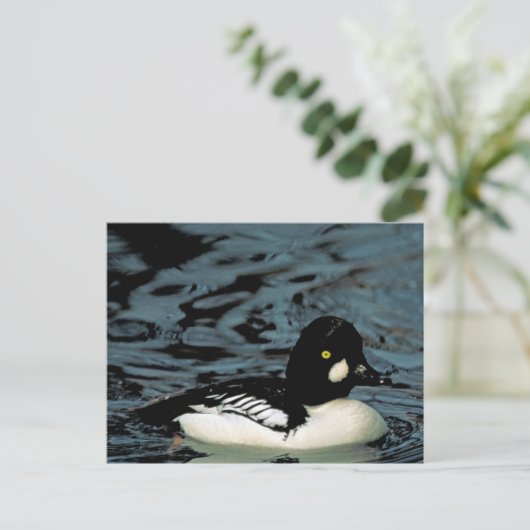 Goldeneye Duck Briefkaart (Staand voorkant)