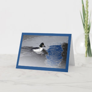 Goldeneye Duck Kaart