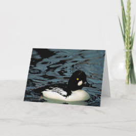 Goldeneye Duck Kaart