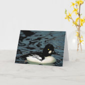 Goldeneye Duck Kaart (Gele Bloem)