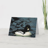 Goldeneye Duck Kaart (Voorkant)