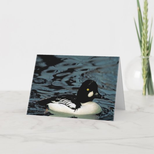 Goldeneye Duck Kaart (Voorkant)