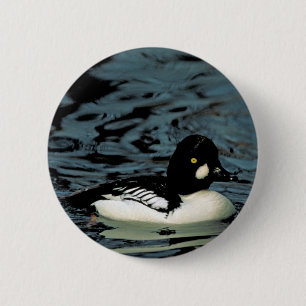 Goldeneye Duck Ronde Button 5,7 Cm