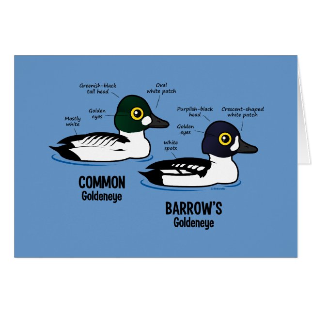 Goldeneye vs Goldeneye (Voorkant Horizontaal)