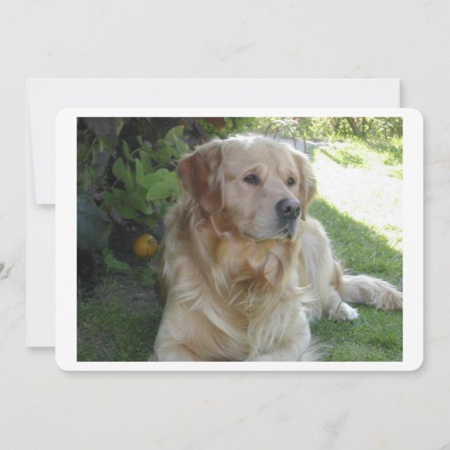 Goldenrekoever 2.png (Voorkant)