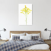 Goldenrod bloemen (Solidago juncea), Noord-Amerika Canvas Afdruk (Insitu (Slaapkamer))