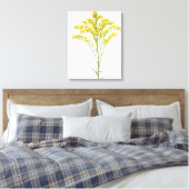 Goldenrod bloemen (Solidago juncea), Noord-Amerika Canvas Afdruk (Insitu (Slaapkamer))