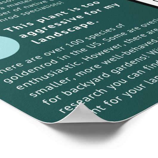 Goldenrod Misconceptions and Facts Blue Theme Poster (Hoek)