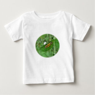 Goldenrod Soldier Beetle