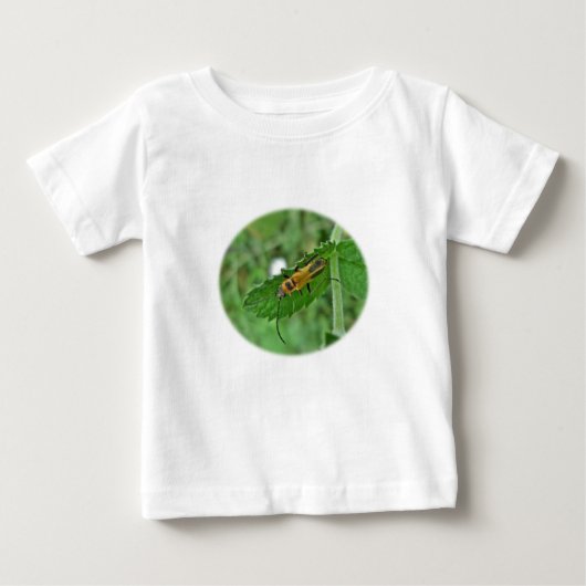 Goldenrod Soldier Beetle (Voorkant)
