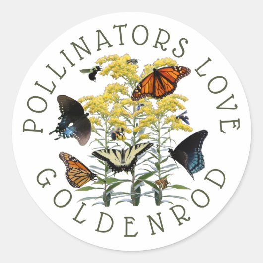 Goldenrod Solidago Wildflower en Pollinators Clas Ronde Sticker (Voorkant)
