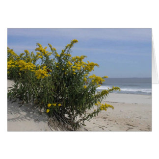 Goldenrode door het Zee