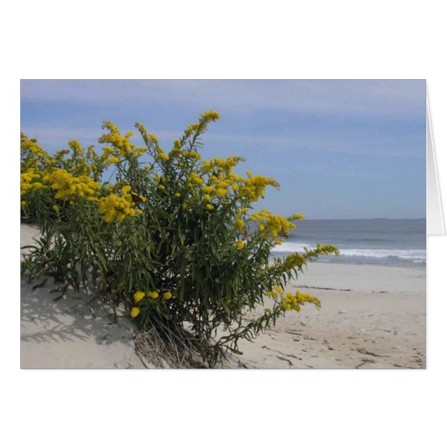 Goldenrode door het Zee (Voorkant Horizontaal)