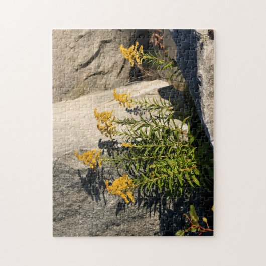 Goldenroodbloemen en Natuur van schaduwen Legpuzzel (Verticaal)