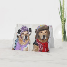 Goldens gebundeld voor de Winter Feestdagen