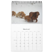 Goldens gewoon met plezier kalender (Mar 2027)