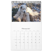 Goldens gewoon met plezier kalender (Feb 2027)