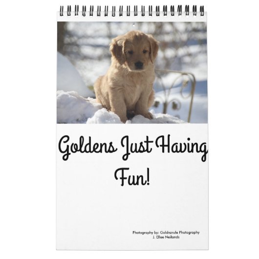 Goldens gewoon met plezier kalender (Hoes)