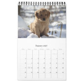 Goldens gewoon met plezier kalender (Jan 2027)