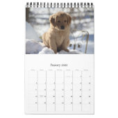 Goldens gewoon met plezier kalender (Jan 2026)