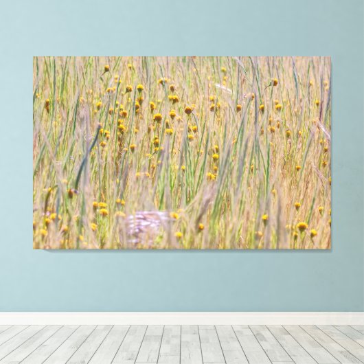 Goldfield en gras canvas afdruk (Insitu (Houten vloer))