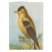 Goldfinch (Voorkant)
