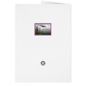 Goldfinch (Achterkant)