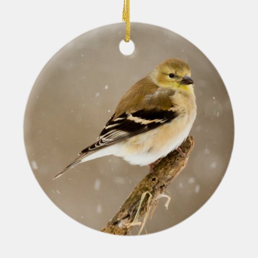 Goldfinch 2023 Kerstmis Keramisch Ornament (Achterkant)