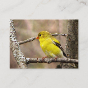Goldfinch ATC Visitekaartje