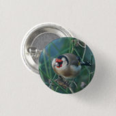 Goldfinch Badge Ronde Button 3,2 Cm (Voorkant /achterkant)