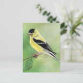 "Goldfinch" Bird Art Briefkaart (Staand voorkant)