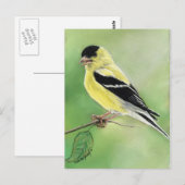 "Goldfinch" Bird Art Briefkaart (Voorkant / Achterkant)
