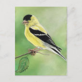 "Goldfinch" Bird Art Briefkaart (Voorkant)