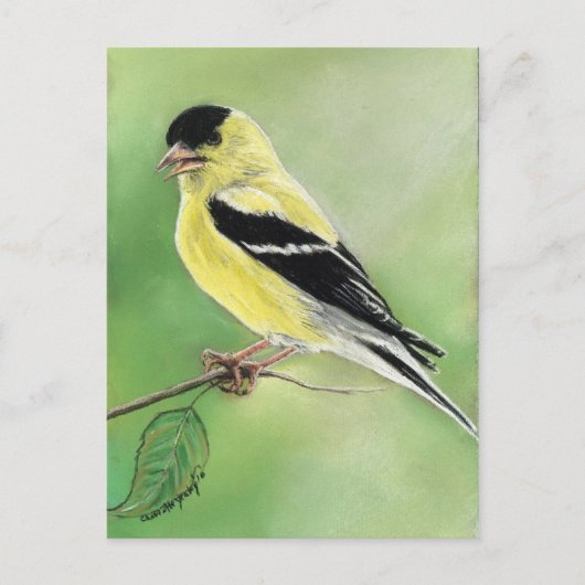 "Goldfinch" Bird Art Briefkaart (Voorkant)