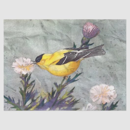 Goldfinch Bird Decoupage Tissue Paper Tissuepapier (Voorkant)