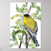 Goldfinch Bird in Desert Waterverf Art Poster (Voorkant)
